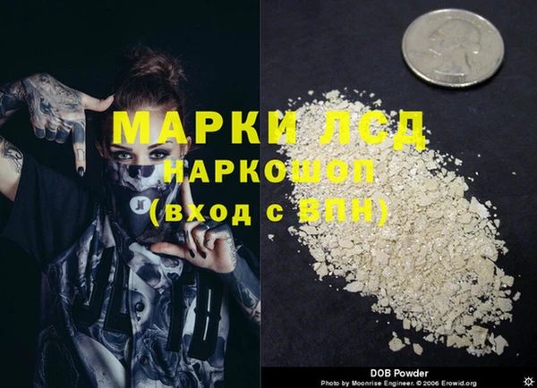молекула духа Бородино