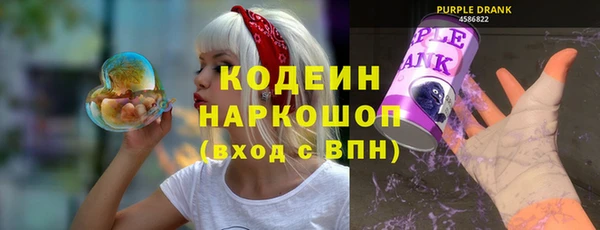 молекула духа Бородино