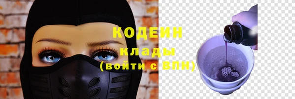 молекула духа Бородино