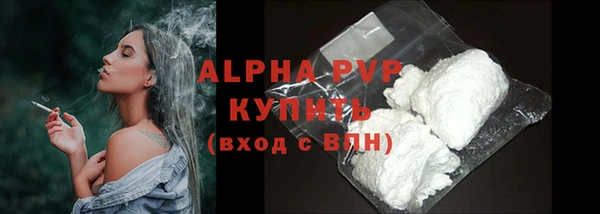молекула духа Бородино
