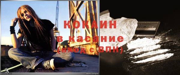 молекула духа Бородино