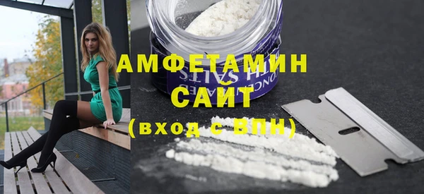 молекула духа Бородино