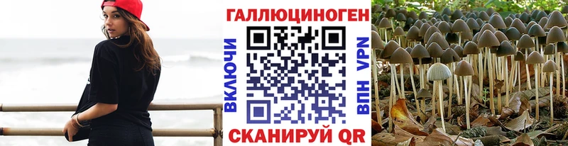Галлюциногенные грибы Psilocybine cubensis  Иркутск 